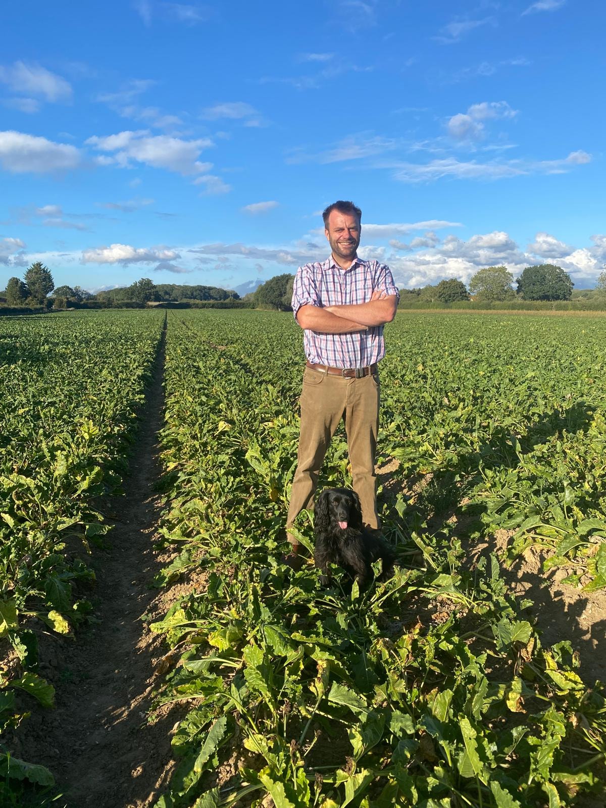 James Hill, rural land agent