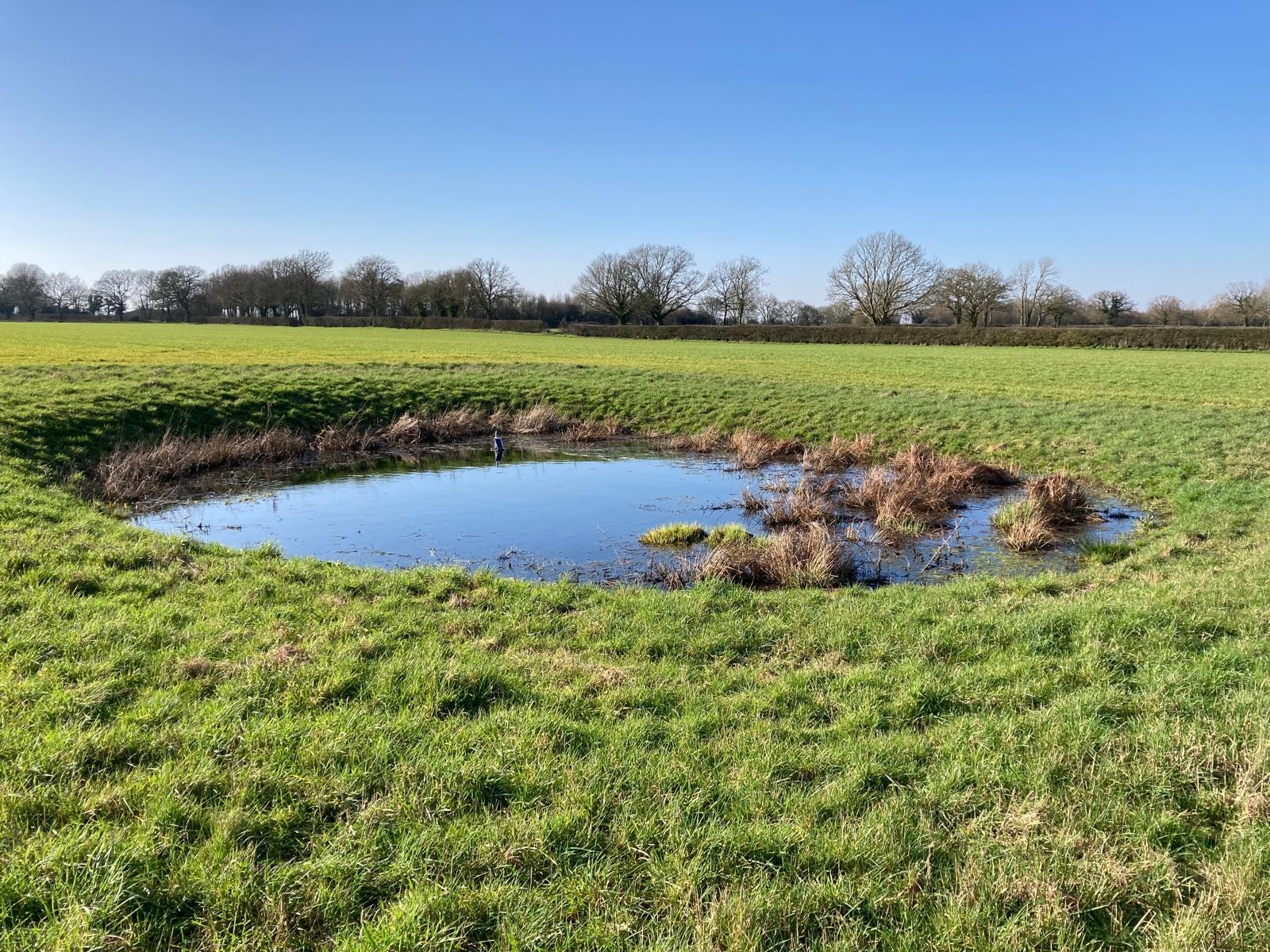 Environmental Schemes & SFI