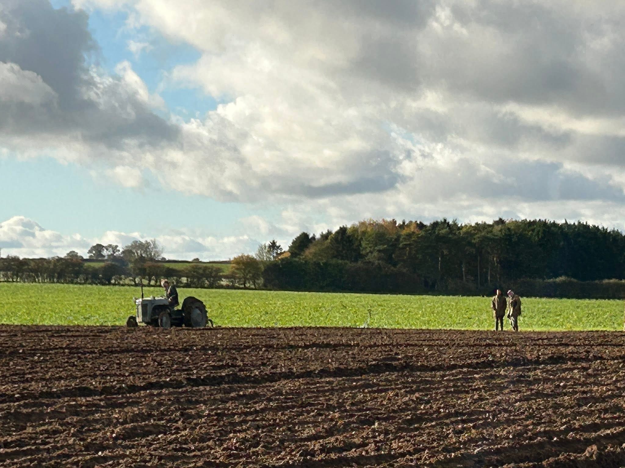 Estate & Succession Planning