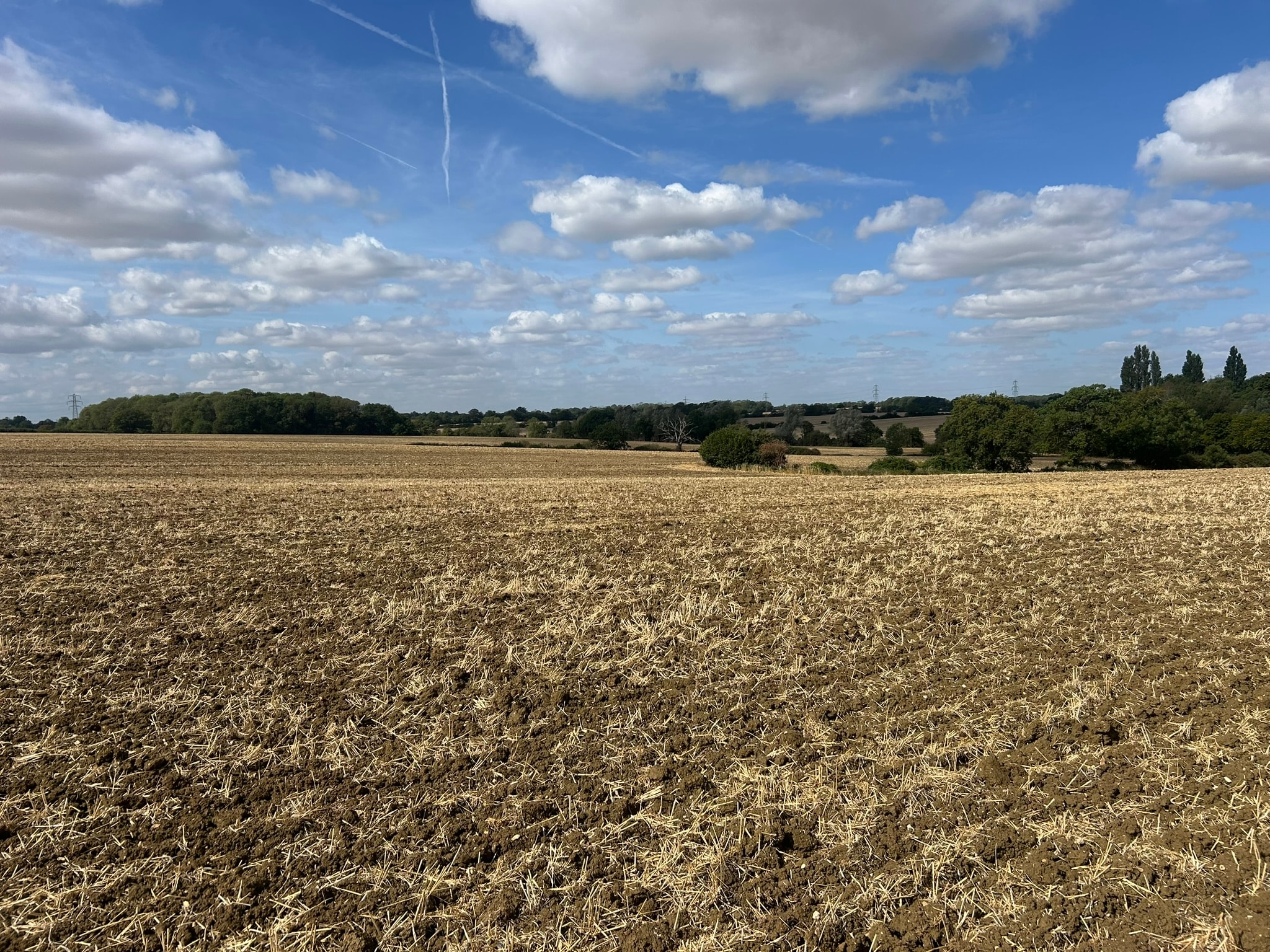 Farm Purchase & Sale